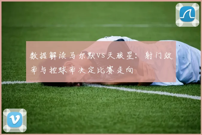 数据解读马尔默vs天狼星:射门效率与控球率决定比赛走向