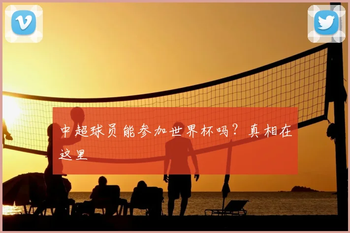 中超球员能参加世界杯吗？真相在这里