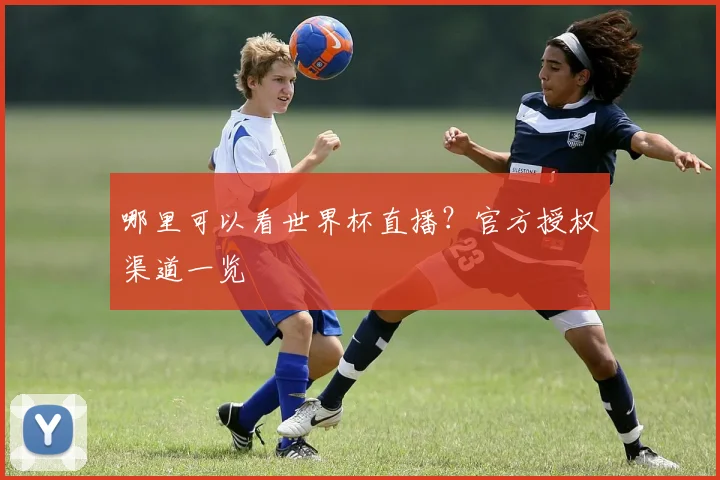哪里可以看世界杯直播？官方授权渠道一览