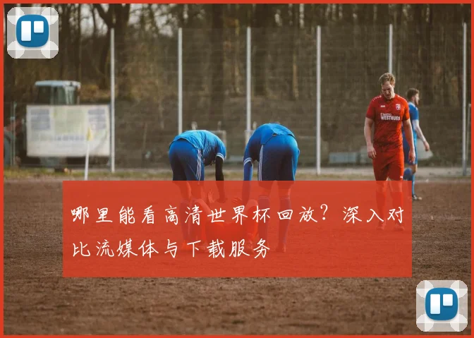 哪里能看高清世界杯回放？深入对比流媒体与下载服务
