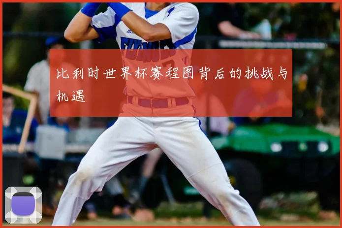 比利时世界杯赛程图背后的挑战与机遇