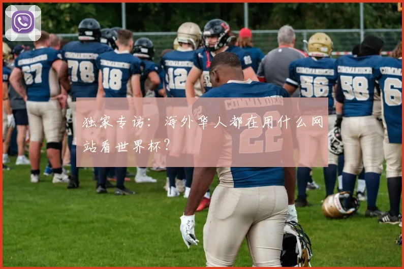 独家专访:海外华人都在用什么网站看世界杯?